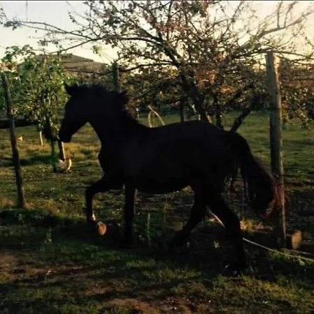 Holiday home Vecchio Fienile Per Una Vacanza Fresca E A Contatto Con La Natura! Brattiro